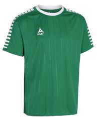 Футболка SELECT Argentina player shirt (005), S