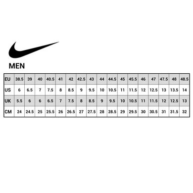 Кросівки Nike Downshifter 12 (002), 41 (26 см)